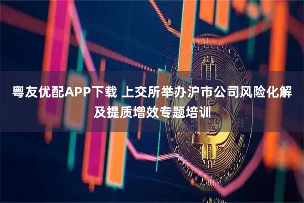 粤友优配APP下载 上交所举办沪市公司风险化解及提质增效专题培训