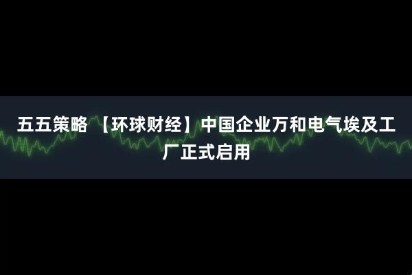 五五策略 【环球财经】中国企业万和电气埃及工厂正式启用