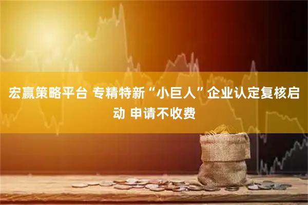 宏赢策略平台 专精特新“小巨人”企业认定复核启动 申请不收费